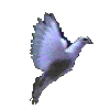 Dove : Deliverance and Peace