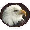 Eagle : Courage and Vision